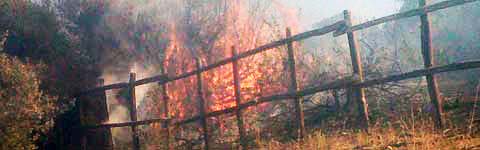 Incendio