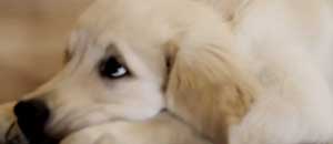 Tobia, il protagonista del video