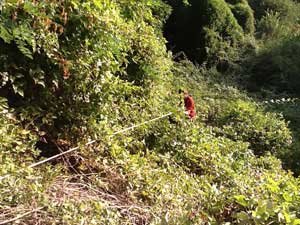 Il recupero delle capre in località Pian del Cerro