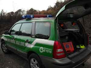 La forestale sul posto