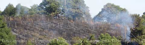 Il terreno in fiamme sulla Cimina