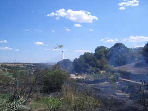L'incendio a Tuscania