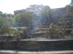 L'incendio a Tuscania