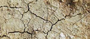 Un terreno colpito da siccità