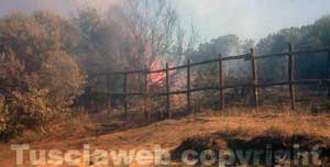 Le fiamme vicino alla spiaggia