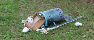 L'immondizia al parco comunale di Cura di Vetralla