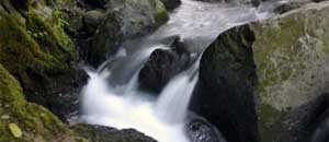 Un salto del fiume Treja