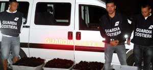 I ricci sequestrati dalla guardia costiera