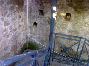 Lo stato di abbandono della necropoli di Castel d'Asso