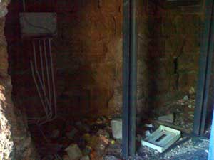 Lo stato di abbandono della necropoli di Castel d'Asso