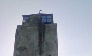Lo stato di abbandono della necropoli di Castel d'Asso