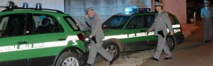 La forestale al lavoro