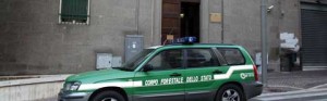 Operazione Genio e sregolatezza, il blitz della forestale al Genio civile di Viterbo