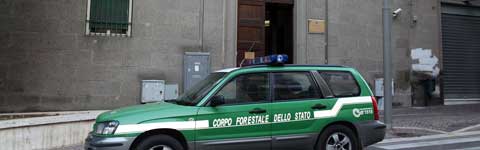 Operazione Genio e sregolatezza, il blitz della forestale al Genio civile di Viterbo