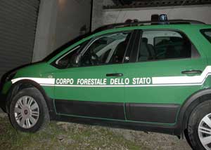 La forestale in azione