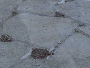 Le buche sul viale