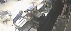 La barista che stende il rapinatore