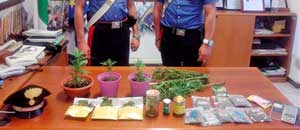 La droga sequestrata dai carabinieri di Tarquinia