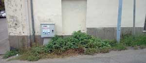 Le erbacce in via Col Moschin