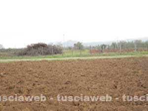 Il campo dopo l'estirpazione