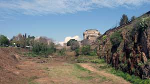 Orto di Miretto