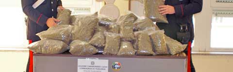 La marijuana sequestrata dai carabinieri