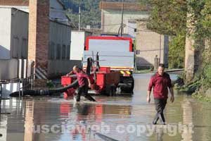I vigili del fuoco al lavoro a Montato Marina I vigili del fuoco al lavoro a Montato Marina