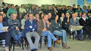 Il pubblico