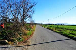 Strada Cerrino Carcarello
