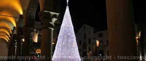 L'albero di Natale a piazza del Comune