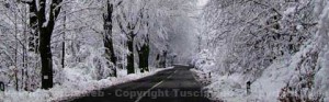 La neve sulle strade della Tuscia