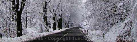 La neve sulle strade della Tuscia
