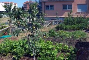 L'orto dei ragazzi dell'Orioli