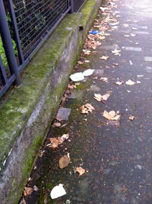 La sporcizia in viale Trieste