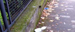 La sporcizia in viale Trieste