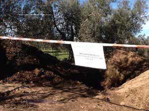 L'area sequestrata