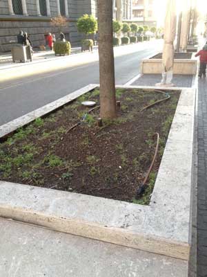 Il degrado in viale Guglielmo Marconi