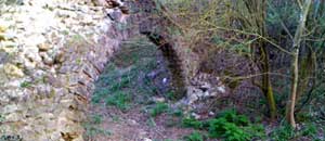 Riparte il gruppo archeologico