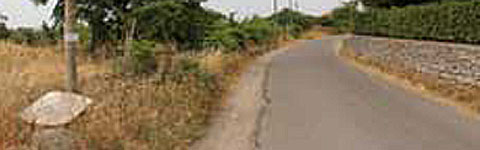 Strada Procoio