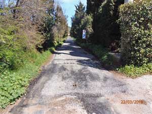 Le buche riparate dalla banda