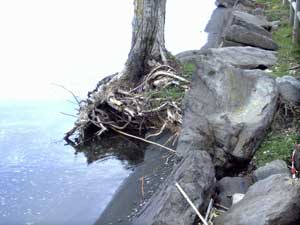 La spiaggia del lago di Bolsena sparita a Marta