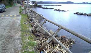 La spiaggia del lago di Bolsena sparita a Marta