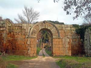 L'abbazia di Santa Maria in Falleri
