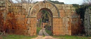 L'abbazia di Santa Maria in Falleri