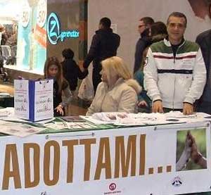 Il consigliere Simoncini in uno degli stand allestiti per gli animali