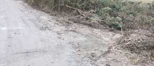 Strade dissestate a Oriolo Romano
