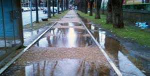 Il degrado a viale Trento