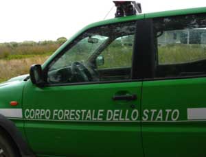 Forestale