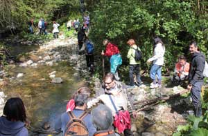 Walk a Barbarano
