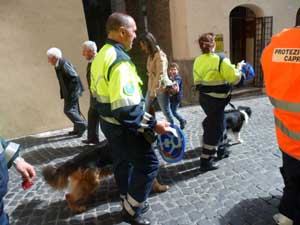 I cani all'esercitazione 